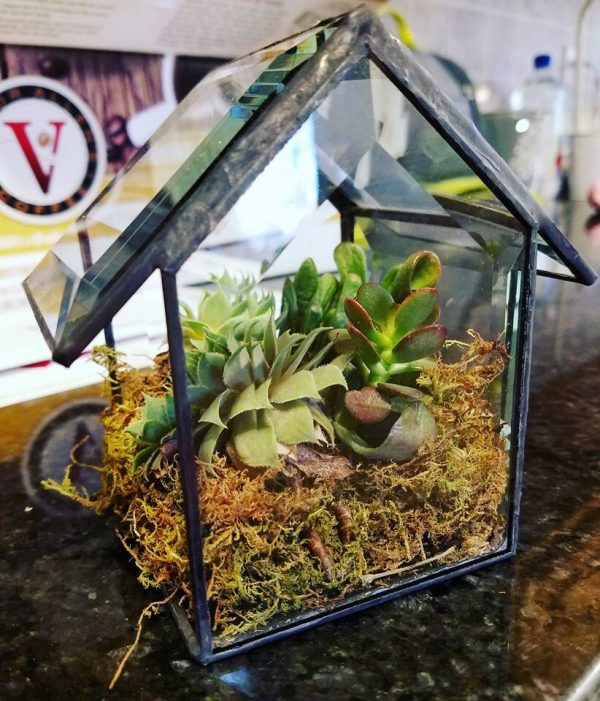 Clear Beveled Glass House with Succulents - Image 2