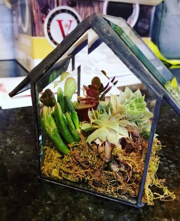 Clear Beveled Glass House with Succulents - Image 3