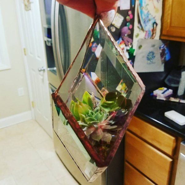 Hanging Bevel Prism with succulents - Image 2