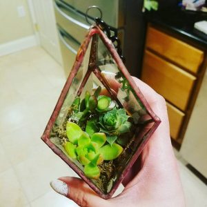 Hanging Bevel Prism with succulents