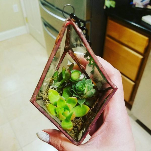 Hanging Bevel Prism with succulents