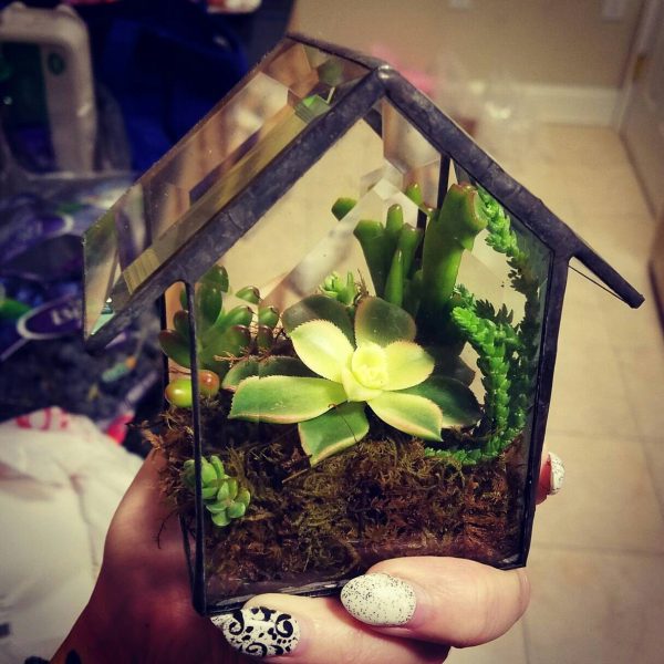 Clear Beveled Glass House with Succulents - Image 5