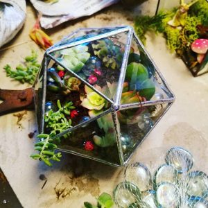 Clear Bevel triangle sphere with succulents