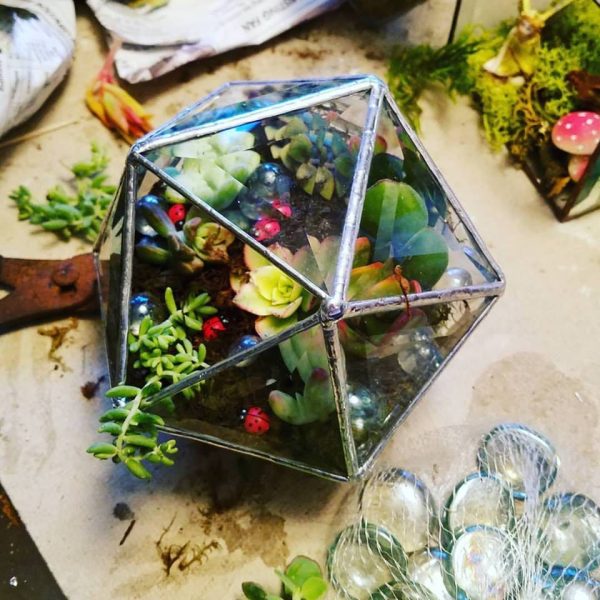Clear Bevel triangle sphere with succulents