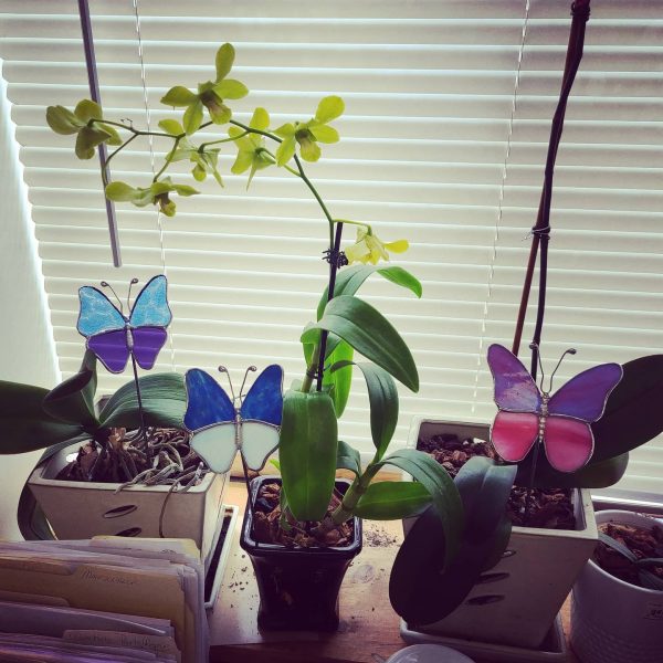 Stained Glass Butterfly Garden Stake made in Your Color Choices! - Image 4