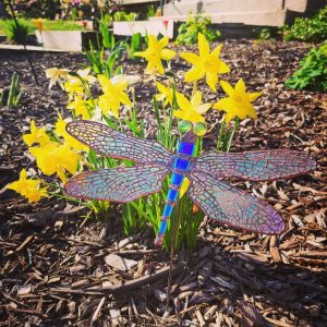 Stained Glass Dragonfly