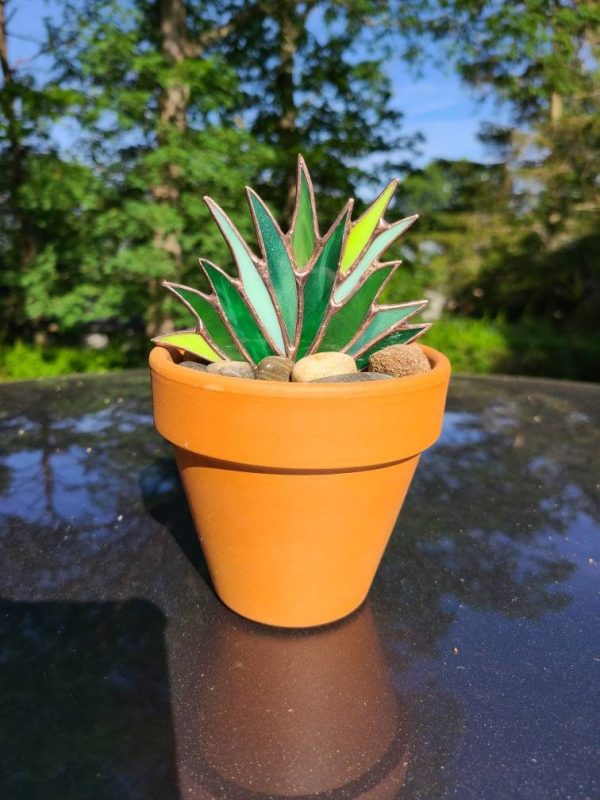 Stained Glass Agave Plant in 4inch Terra Cotta Pot with real river rocks. - Image 2