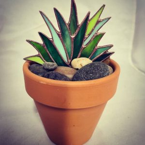 Stained Glass Agave Plant in 4inch Terra Cotta Pot with real river rocks.