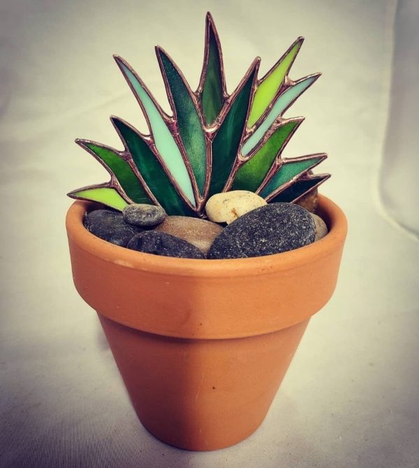 Stained Glass Agave Plant in 4inch Terra Cotta Pot with real river rocks.