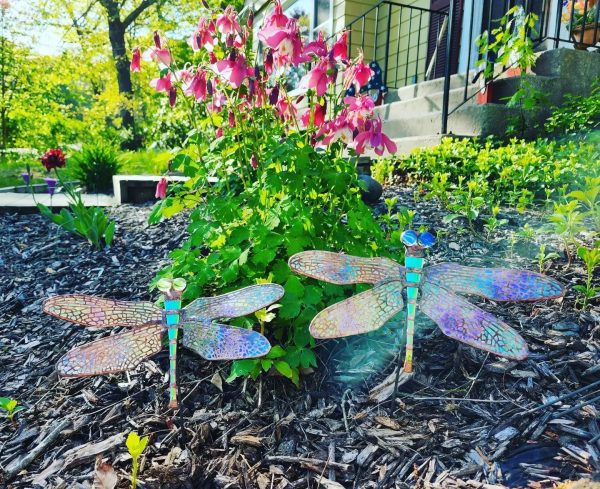 Stained Glass Dragonfly - Image 2